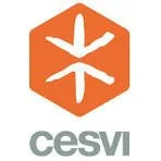 Cesvi Foundation South Africa — What Makes a Man